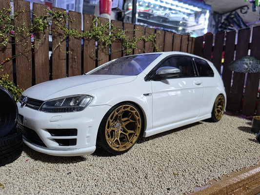 1/18 scale Rohana RFX19 PRE-PAINTED